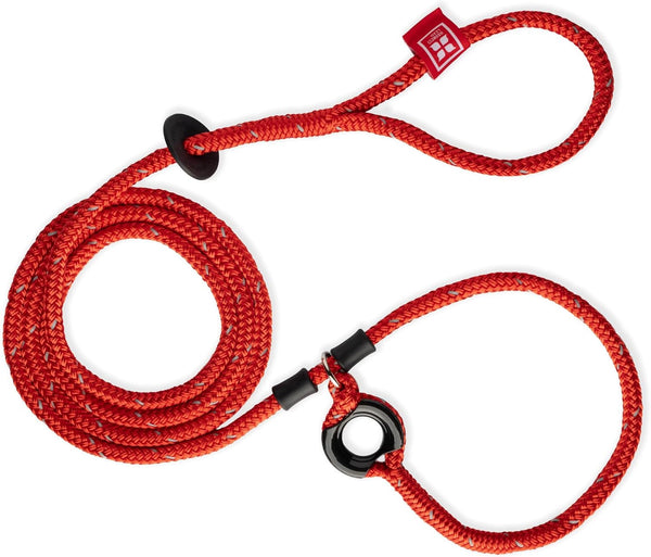 No-Pull Dog Harness & Leash Set – Cushioned, Escape-Proof, Reflective, Anti-Pull Design