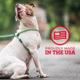 No-Pull Dog Harness & Leash Set – Cushioned, Escape-Proof, Reflective, Anti-Pull Design