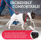 No-Pull Dog Harness & Leash Set – Cushioned, Escape-Proof, Reflective, Anti-Pull Design