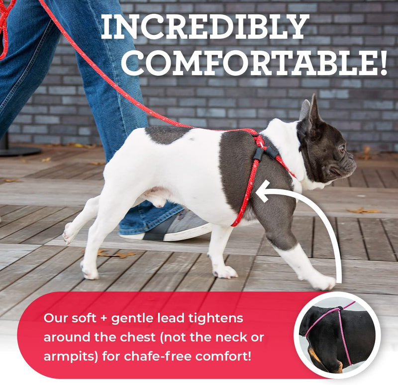 No-Pull Dog Harness & Leash Set – Cushioned, Escape-Proof, Reflective, Anti-Pull Design