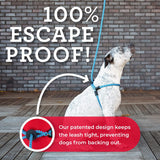 No-Pull Dog Harness & Leash Set – Cushioned, Escape-Proof, Reflective, Anti-Pull Design